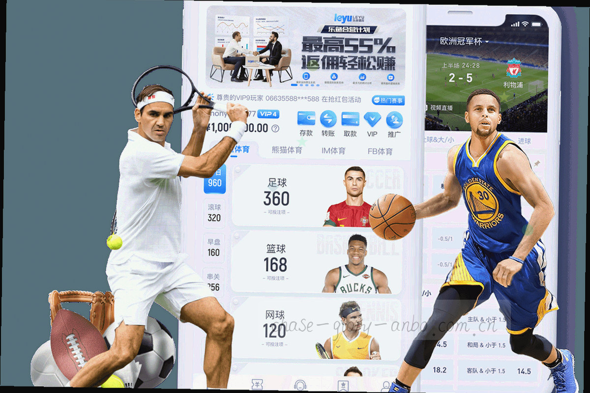 球场边界与地图网格叠合的抽象图，连接本地服务范围导航